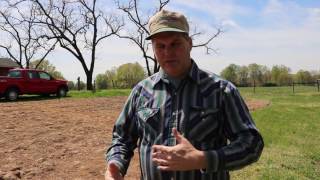 Planting a pollinator plot