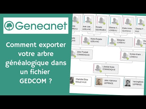 Geneanet : Comment exporter votre arbre généalogique dans un fichier GEDCOM ?