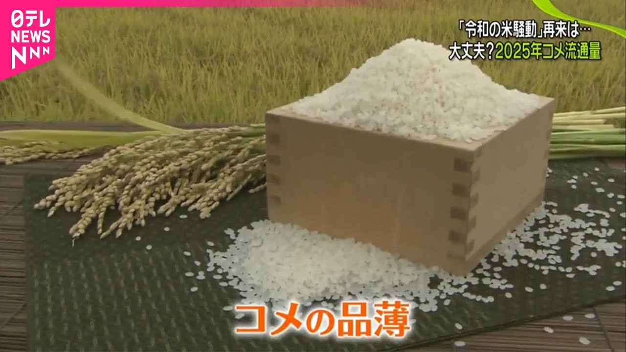 2025年】コメ“品薄再来”はあるのか？ 絶対足りなくなる」の声も - YouTube