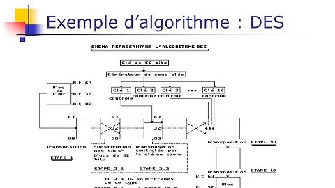 #Algorithme #Programmation pour les débutants