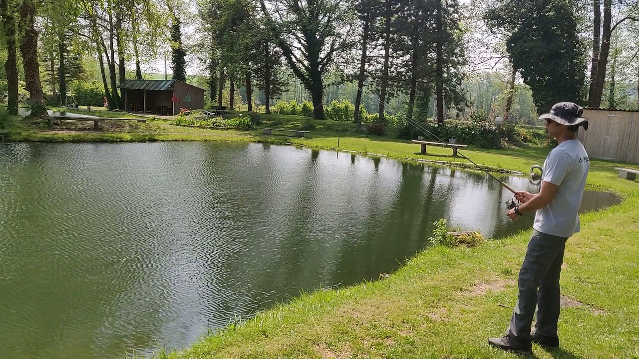 Amazing Trout fishing in france YouTube