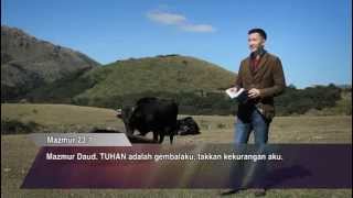 Download Lagu Before30 Miracles Edition Eps. 98 \ MP3