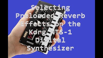 Selecting Preloaded Reverb Effects on the Korg NTS-1 Digital Synthesizer