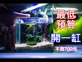 低成本小魚缸 | 都買新的！不到七百塊真的可以開一個小魚缸養東西嗎？ | low budget fish tank | can it work ?
