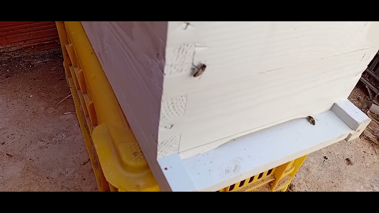 ملاحظات خفيفة وبعض الفوائد