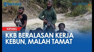 KKB Beralasan Kerja Kebun Malah TNI Membuat 3 Anggota KKB Tamat Riwayatnya