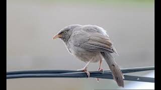 All The Time We Need - Bluma Petersen #lucid #dreaming #music #relaxation #dream #healing #soothing