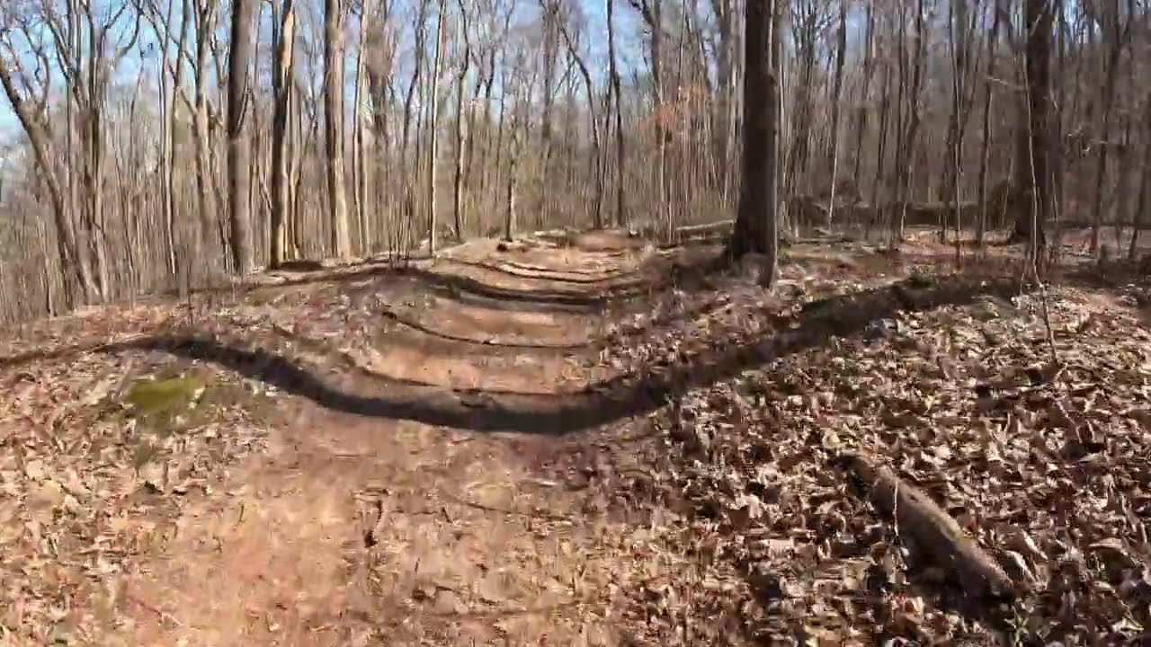 Mountain Mist Trail Riding