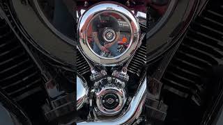 The Coolest Harley at 2024 Bike Week! #harleydavidson #motorcycle #youtubeshorts