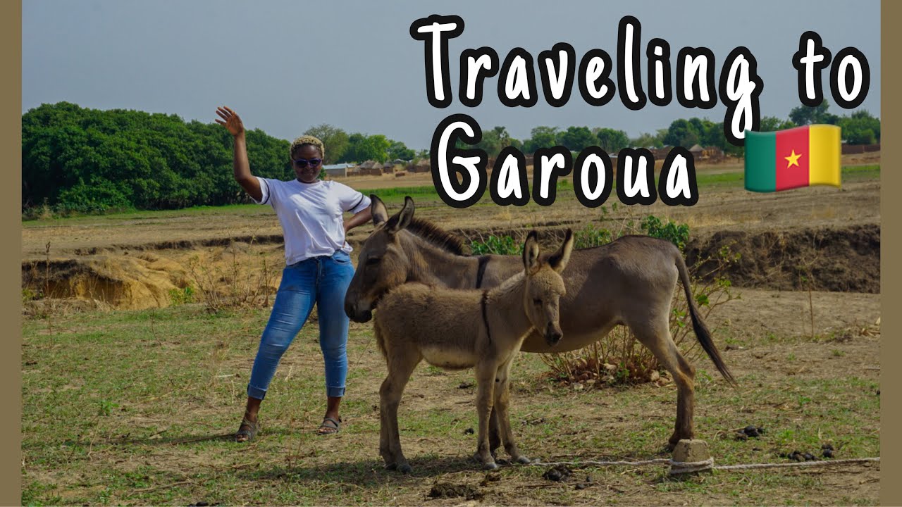 Traveling to the North of Cameroon | My experience going to Garoua ...