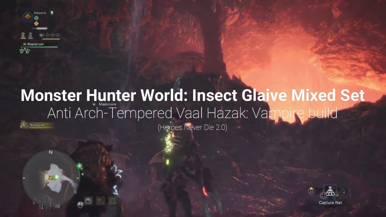 Vaal Mutta Insect Insect Glaive Build: Anti Vaal Hazak Vampire Set - YouTube