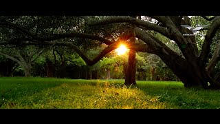 Scenic Beauty of Bengaluru during Covid19 Lockdown | Bangalore Drone View | Bangalore Lockdown Video