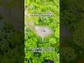 Today Only in Toronto: Earth Day Globe Walk. Walkers and Nature Lovers, Join In | Toronto, Canada