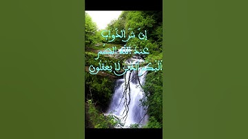 عندما يبدع المغاربة الآيات 20 21 22 23 من سورة الأنفال