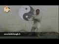 Chen shi tong  tai chi style chen laojia yilu  taijiquan style chen