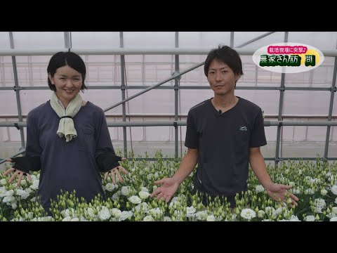 トルコギキョウをつくりこなす : 自生地に学ぶ高品質栽培 栽培発祥の地でトルコギキョウをつくってみませんか？｜農畜産物