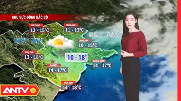 Dự Báo Thời Tiết Tối Ngày 4/2: Bắc Bộ Trời Rét, Có Nơi Rét Đậm, Cục Bộ Mưa Vừa Mưa To | ANTV