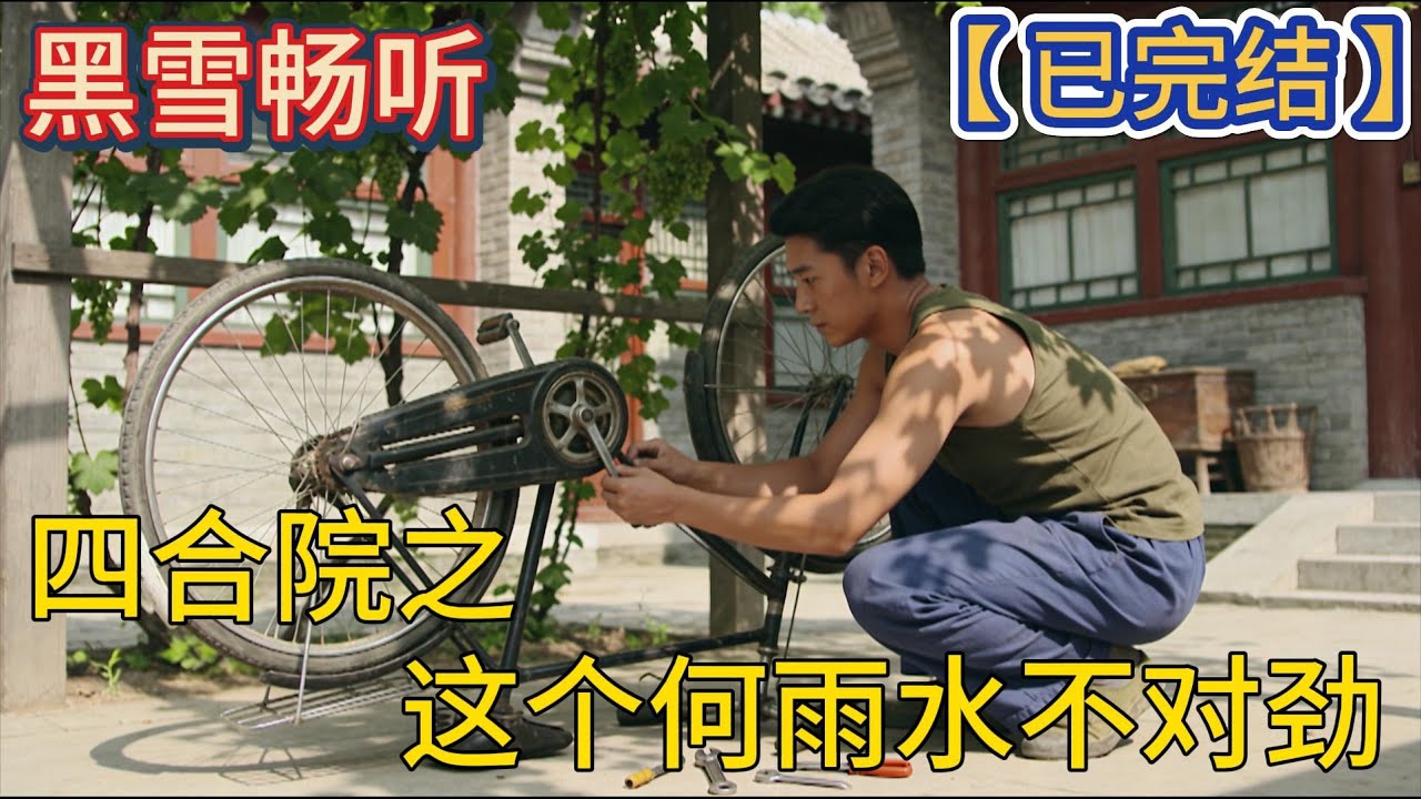 【已完结】🔥《四合院之这个何雨水不对劲》 🔥#空间 #穿越 #四合院 #开局 #爽文 #热血 #一口气看完 #有声小说