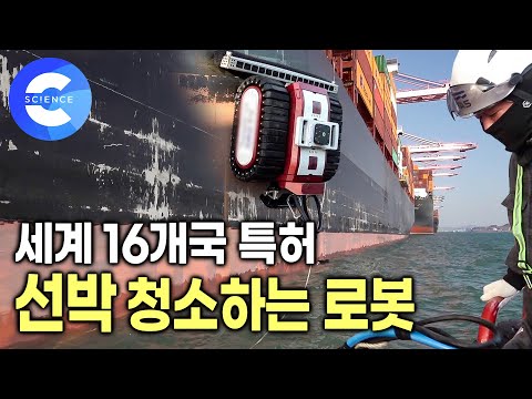 세계에서 인정받는 우리 기술로 만든 '선박 청소 로봇' 🚢  6시간이면 선박 청소 끝 | 안전하고 빠르게 선박을 청소하는 로봇