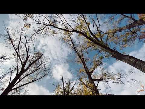 Hippodrome park - იპოდრომის პარკი