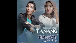 Lagu minang terbaru 2023 - Harry Gumarang - Bungo Layua Dek Angin Tanang #nelsonsikumbangrecord