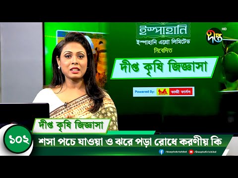 Deepto Krishi Jiggasha || শসা পচে যাওয়া ও ঝরে পড়া রোধে করণীয় কি || Deepto Krishi