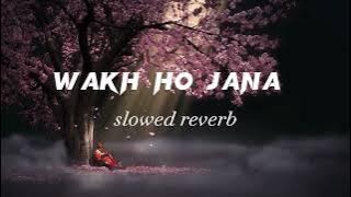 Wakh Ho Jana slowed and Reverb New song