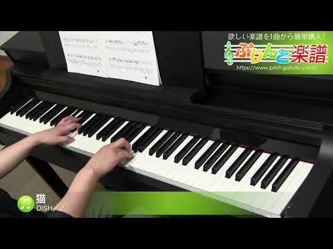 猫 / DISH／／ : ピアノ(ソロ) / 中級