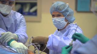 General Orthopedic Specialists