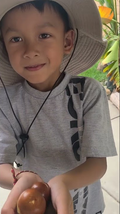 Fresh Jujube Taste Test!#Khmer #Thai USA