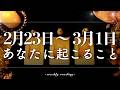 【2月23日〜3月1日】今週は整える時🌿🫧当たるタロット占い🌷🌟恋愛｜仕事｜人間関係