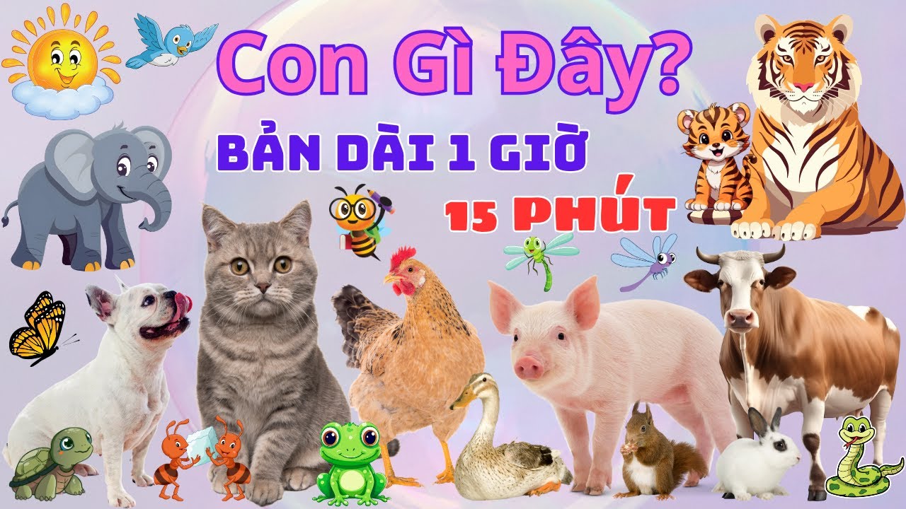 CON GÌ ĐÂY? TỔNG HỢP CÁC LOÀI ĐỘNG VẬT - BẢN DÀI NHẬN BIẾT CON VẬT: CON BÒ, LỢN, CHÓ, VOI, MÈO, GÀ
