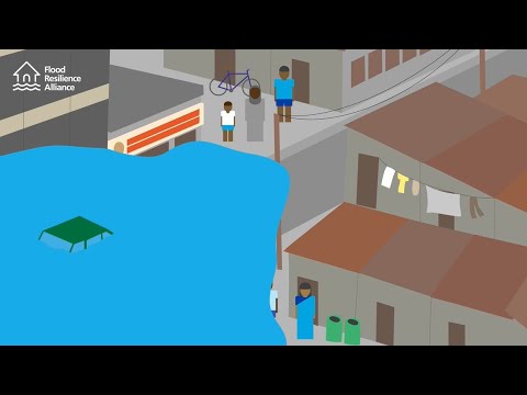 The reality of losses and damages