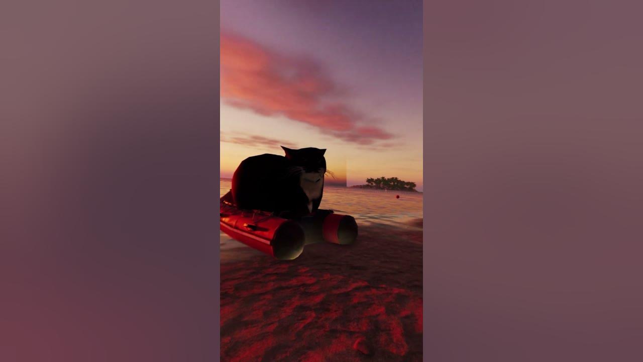 Goodbye forever Maxwell Cat Shorts YouTube