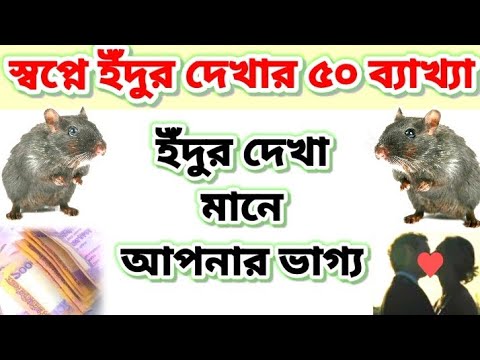 ভিডিও: ইঁদুরের বছর মানে কি?