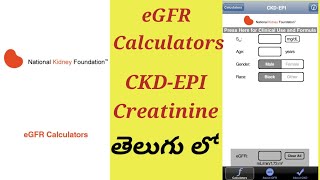 e GFR  Equation test Process In Telugu | (CKD-EPI Creatinine) screenshot 3