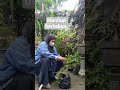 manfaat berkebun & menanam.
