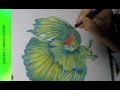 How to draw  Betta fish
