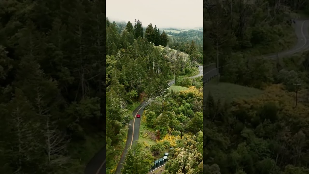 From vineyard roads to twilight tables.