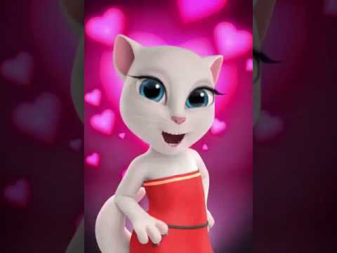 Cat image