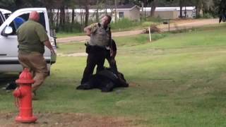 Robbery Suspect 080116