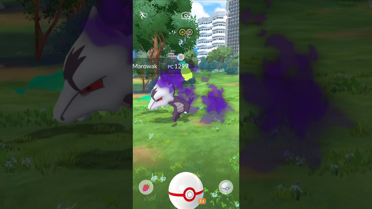 Capturando marowak oscuro