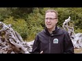 In Collaboration With First Nations Woss Wa S Lake Provincial Park In Collaboration With First Nations Woss Wa S Lake Provincial Park
