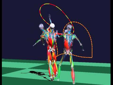 Biomechanics of tennis serve