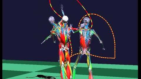 Biomechanics of tennis serve
