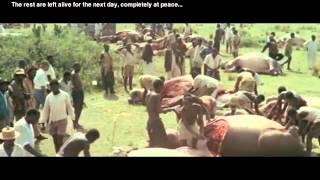 ล่าโหด(สงสารสัตว์)