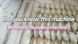 Automatic Dumpling Machine, Making Delicious Dumplings Easily
