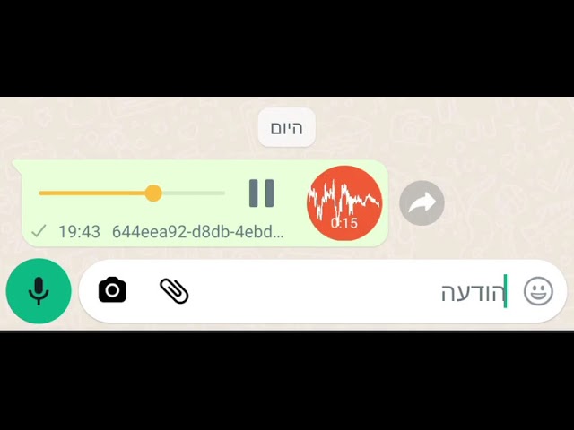 הרצוג על בן גביר: "כל העולם מסביבנו חרד"