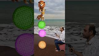 biscuit se bane sher cheetah bandar bhalu ghoda #shorts #ytshorts #vfx #vfxshorts