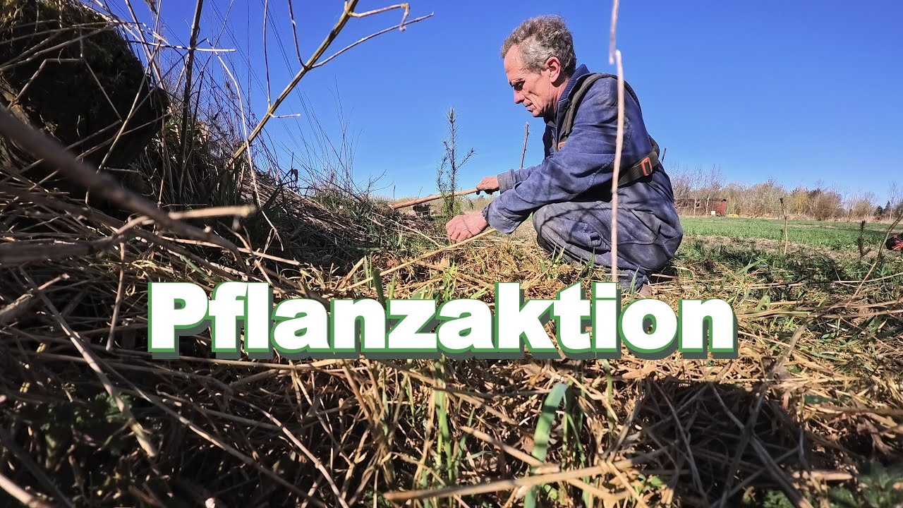 Wir forsten auf und schaffen Schutzstreifen - YouTube